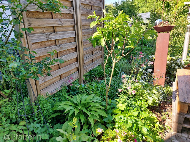 Freude am Garten: Ein schöner Garten wischt den Staub des Alltags von