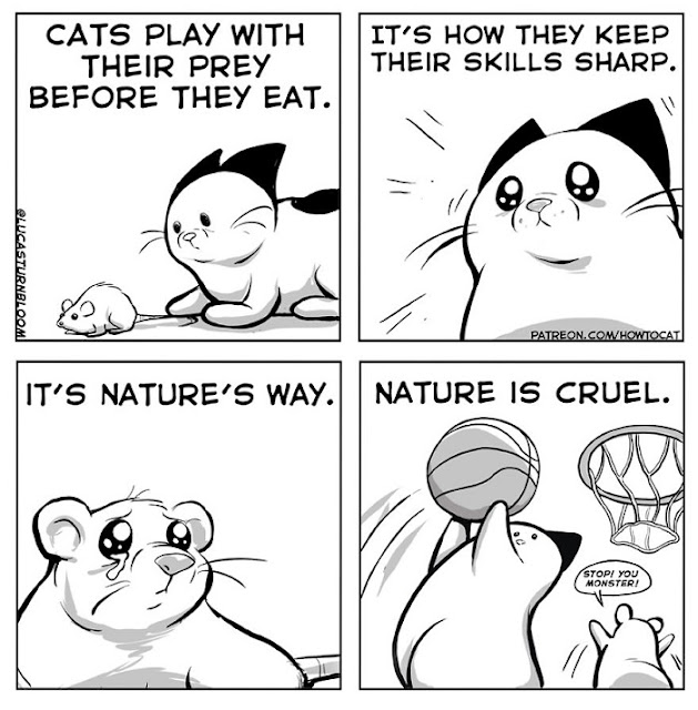 ilustrasi komik kucing