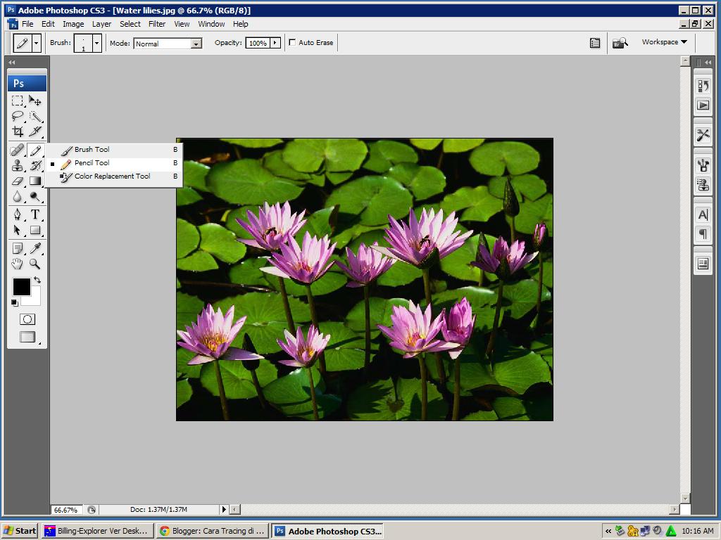 Cara Tracing di Cara Membuat Contour di