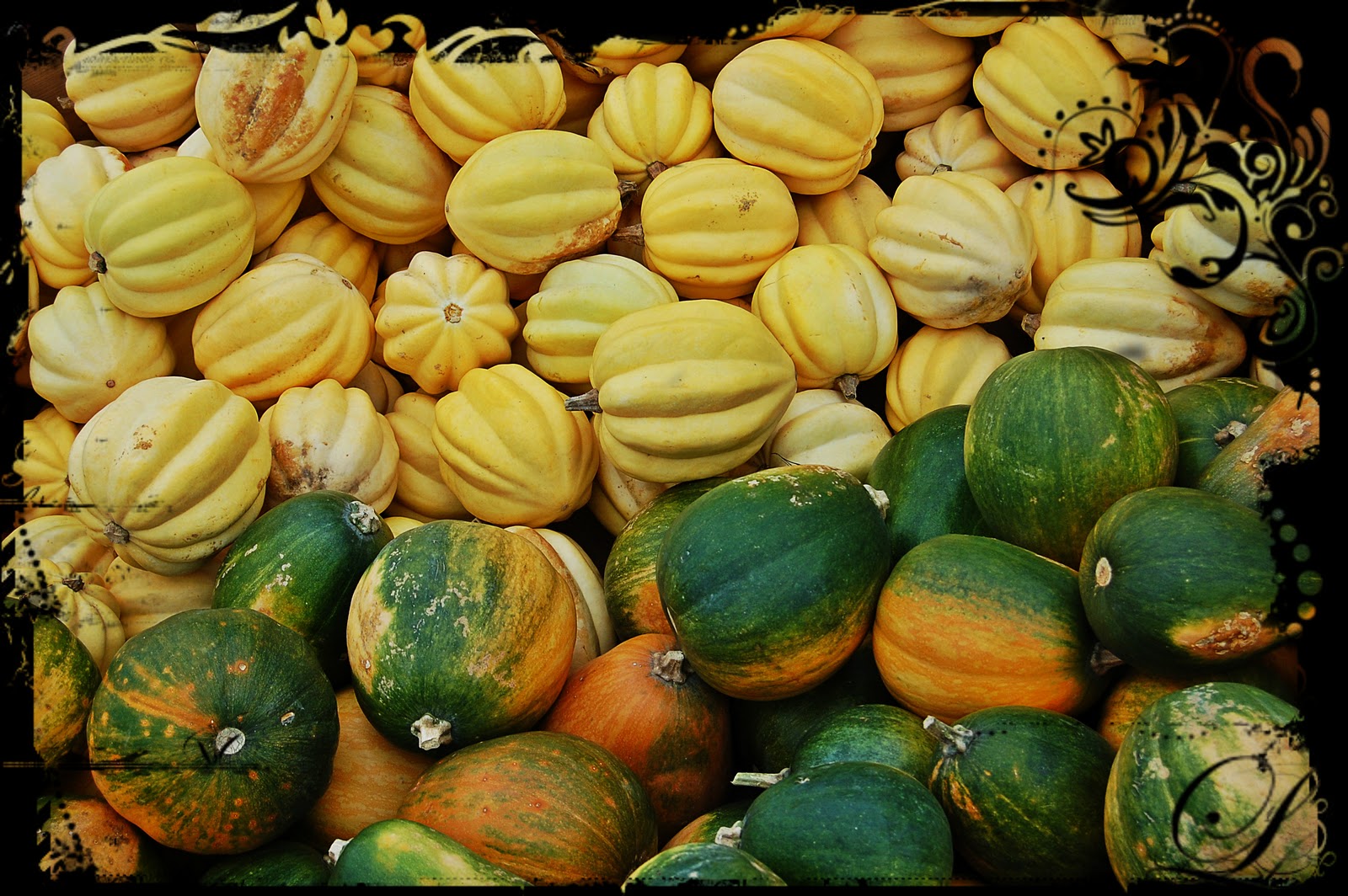 Donner la vie naturellement Centre d'interprétation de la courge • St