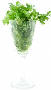 Cilantro's nutritional benefits