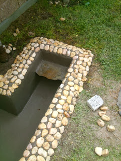 El estanque de mis tortugas