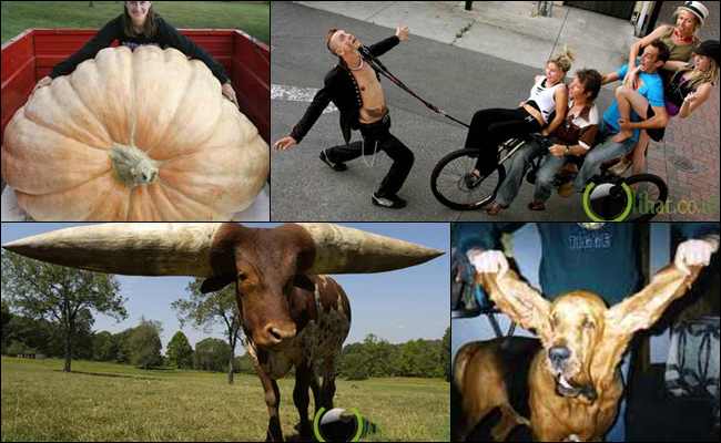 10 Rekor Dunia yang paling Unik Versi Guinness World Records