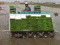 Contoh Proposal Permohonan Bantuan Mesin Pemanen Padi Combine Harvester