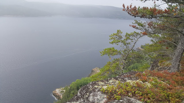 Vue à partir du sentier du Fjord