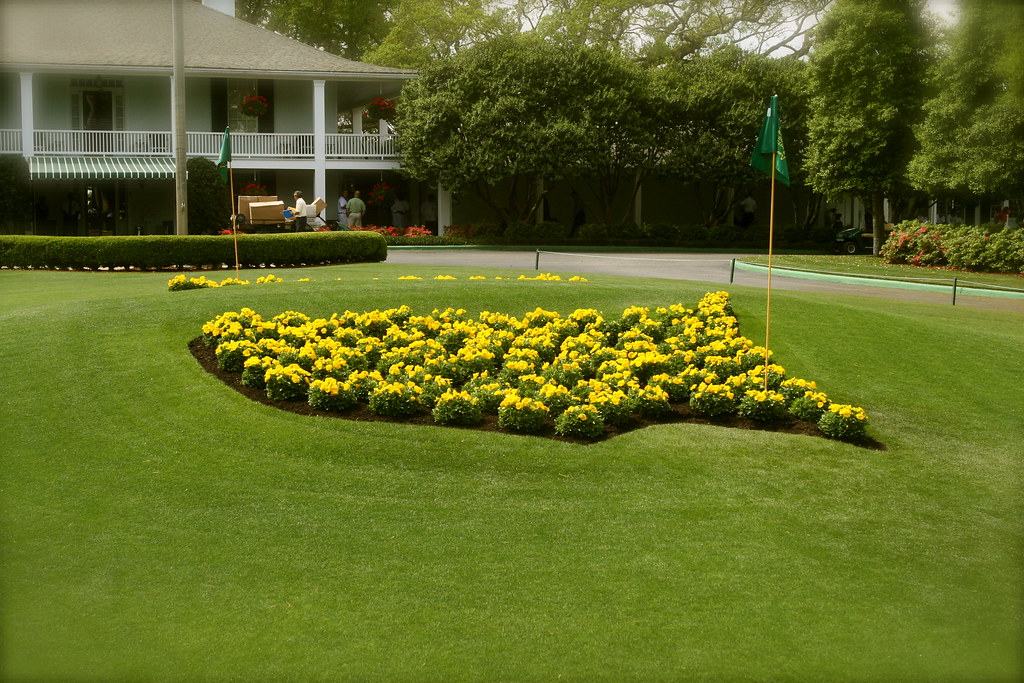 Masters field Beginning to Grow with new winners Golf Live Tv