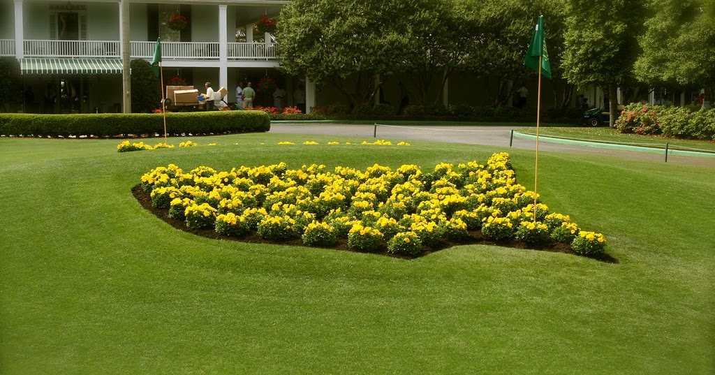 Masters field Beginning to Grow with new winners Golf Live Tv