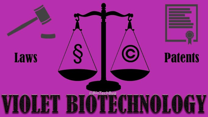 Overview of Violet Biotechnology