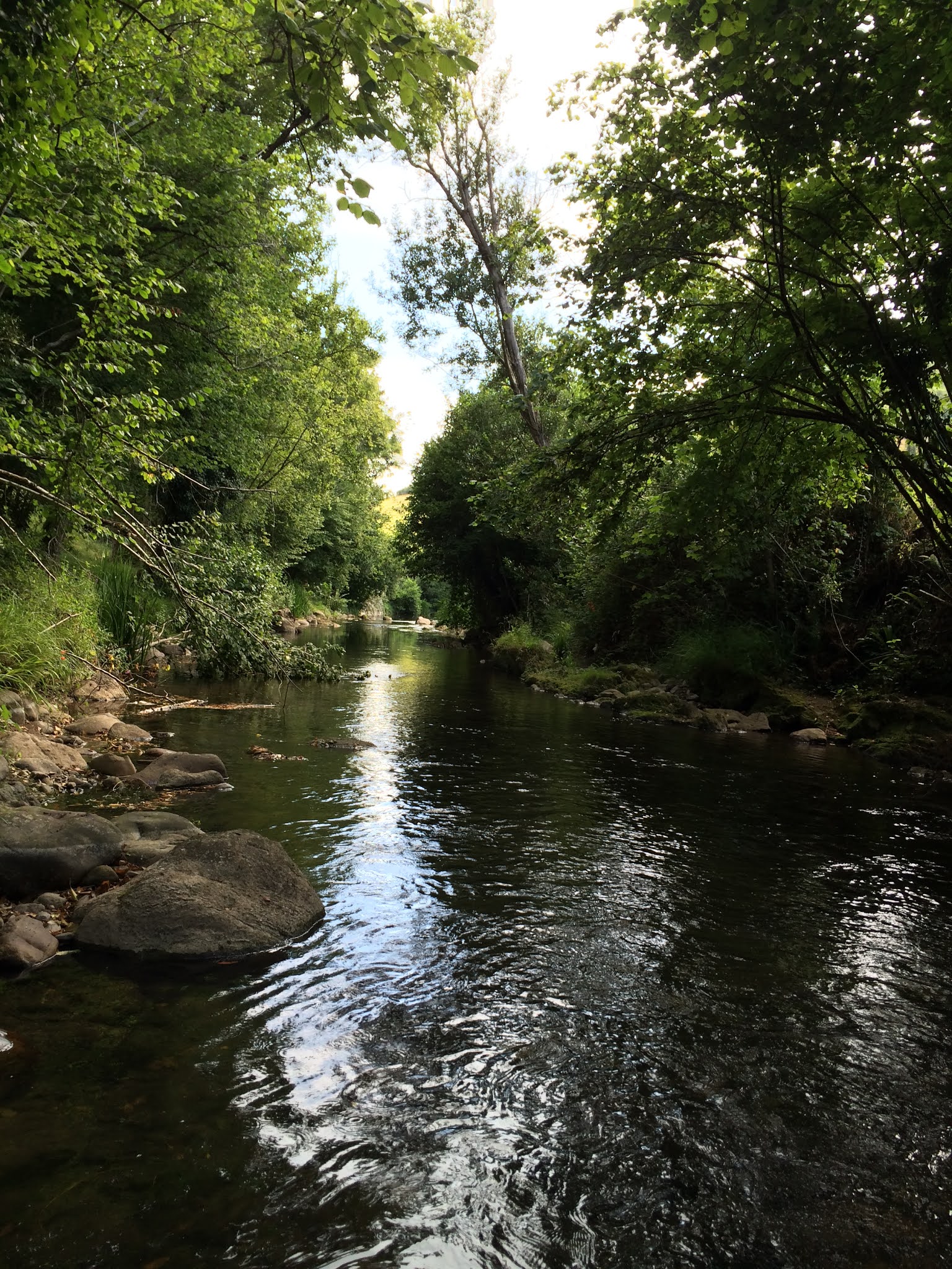 PESCARMONA DÓNDE Y CÓMO PESCAR Río Cubia (Asturias)…