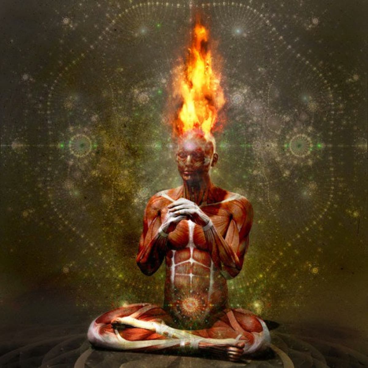 Даниэль шмидт самадхи. Чакры «самадхи». Нирвана самадхи. Самадхи 3. Самадхи треугольники пиктограмма.