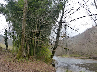 Randonnée Tarn Le Viaur Bea Rando Decouverte