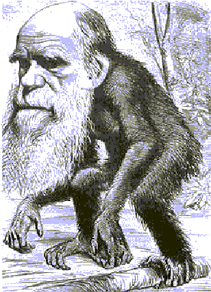 só sociologia o que é darwinismo social?