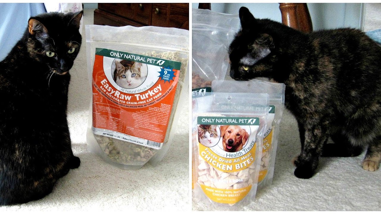 Dry Food For Diabetic Cats Cat Choices