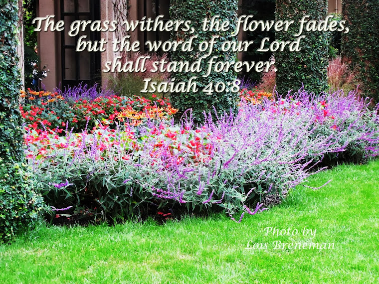 Purple Flowers - Isaiah 40:8
