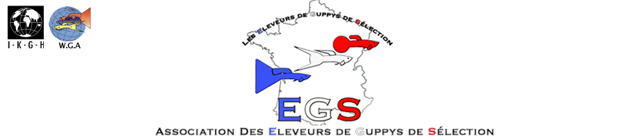 Association EGS • Les Éleveurs de Guppys de Sélection