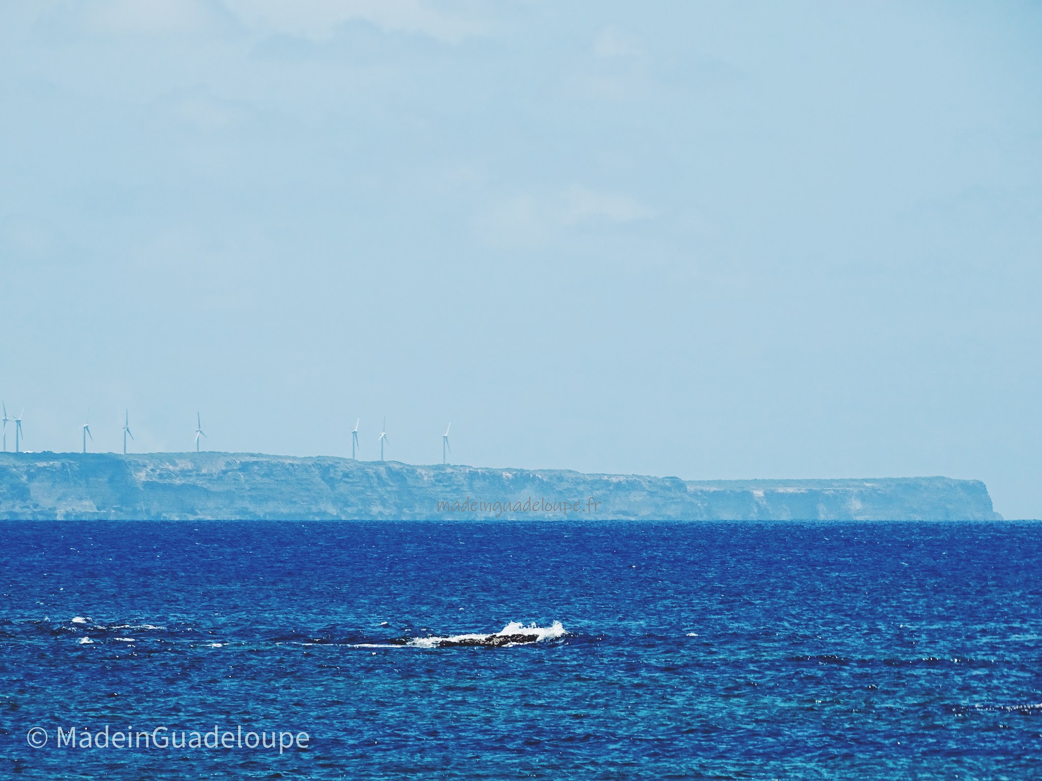 ville du moule guadeloupe grande terre madeinguadeloupe