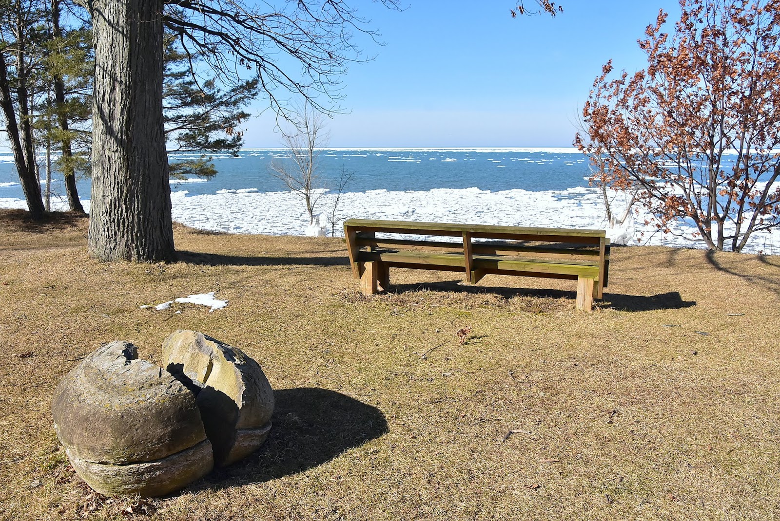 TRAVEL WITH THE BAYFIELD BUNCH)) TUNDRA SWANS, ROCK KETTLES AT KETTLE