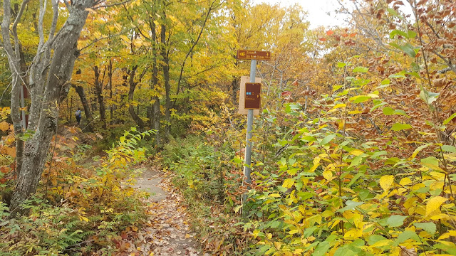Sentier tout près du mont Chauve