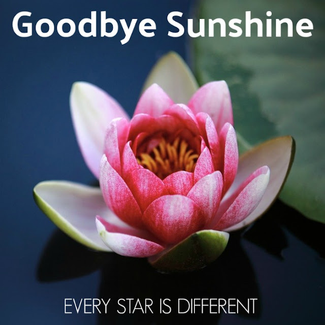 Goodbye Sunshine-A story about goodbyes related to mental health