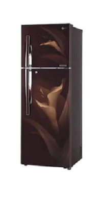 LG Frost Free 335 L Double Door Refrigerator (GL-T372JALU.DALZEBN)
