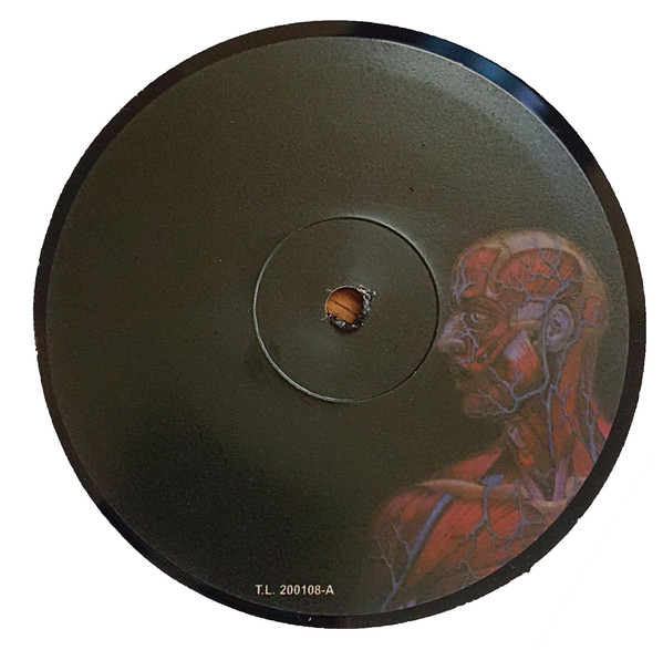 ReviewsDelRockyMetal TOOL "Lateralus" (Volcano Tool Dissectional 2001)