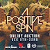 Today is the Launch of A Positive Spin, An Online Fundraising Auction