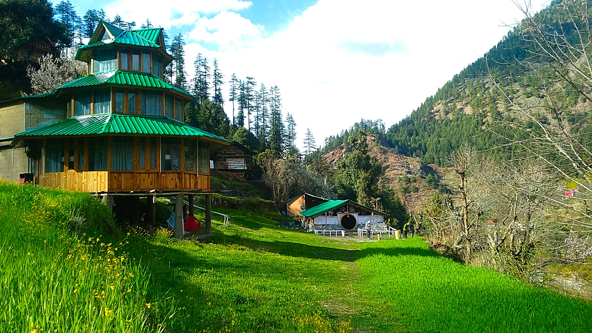 Jibhi Travel Guide Uncovering The Hidden Gem Of Himac vrogue.co