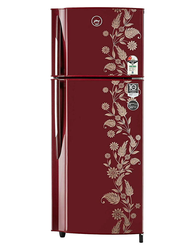 Book Repair Services