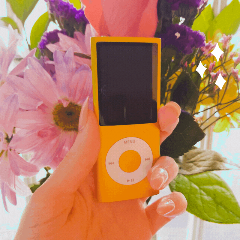 I Cancelled My Spotify Premium to Use An iPod in 2021 — The Sincerely