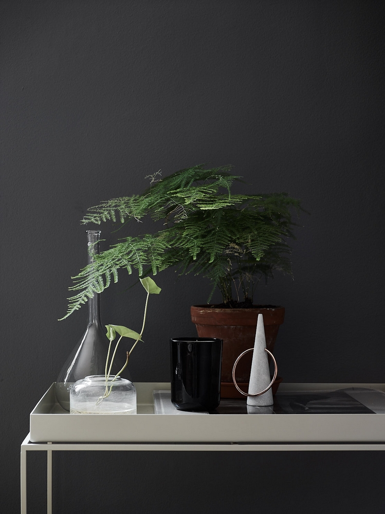 QUAND LE BLANC ET NOIR SE MÉLANGENT