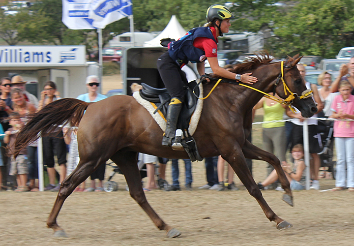 Endurance horse racing Other big names and great horses in endurance