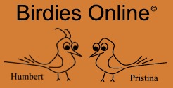 Birdies Online