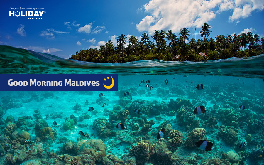 Holiday Factory Maldives package