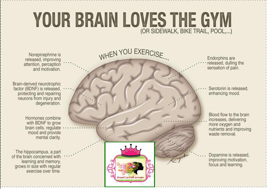 A brain перевод. Cerebellum анатомия. Счастливый мозг. Счастливы мозг аре. Мозги анатомия.