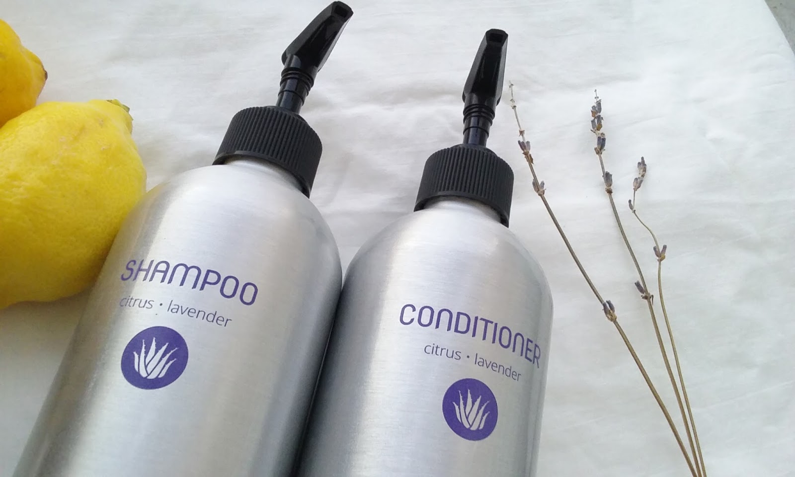 Review Plaine Products Zero Waste Shampoo + Conditioner Greenify Me