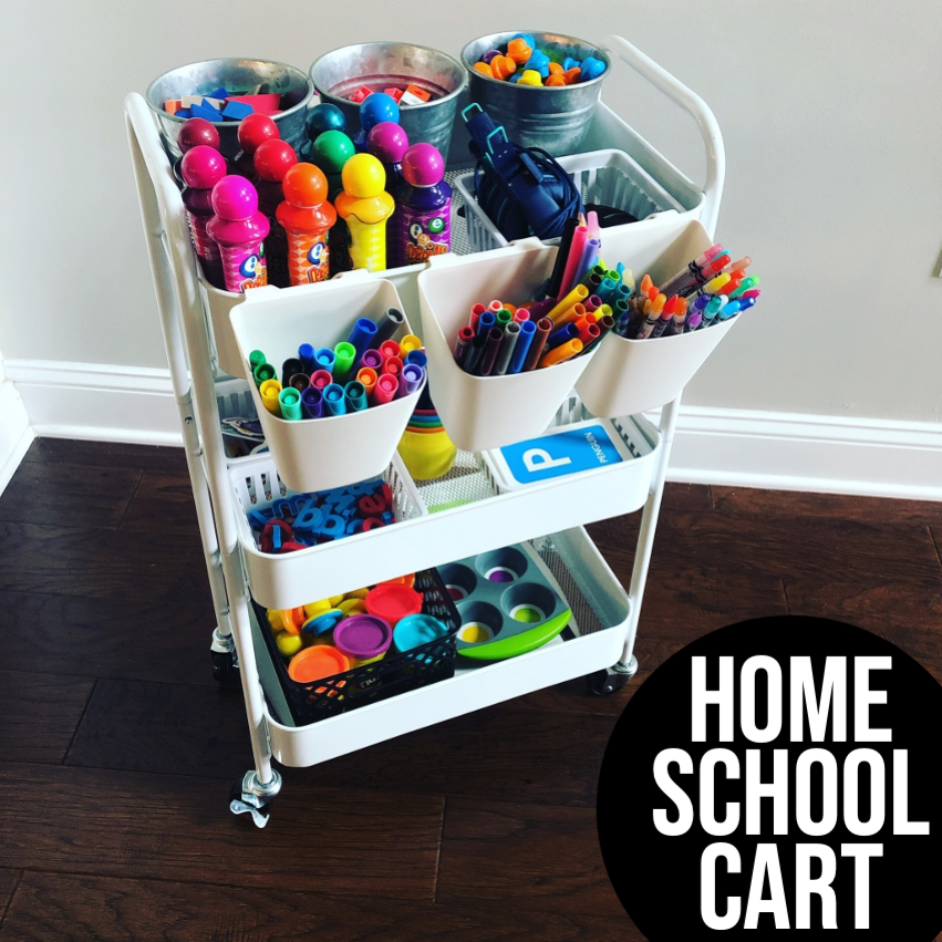 Homeschool Cart Primary Punch