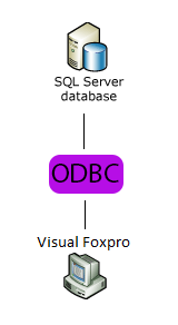 Contoh program dengan visual foxpro database for windows - rewastyles
