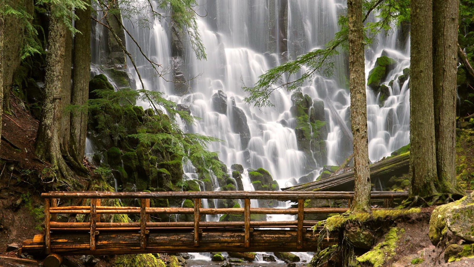 The Wallpapers: Nature Wallpapers HD