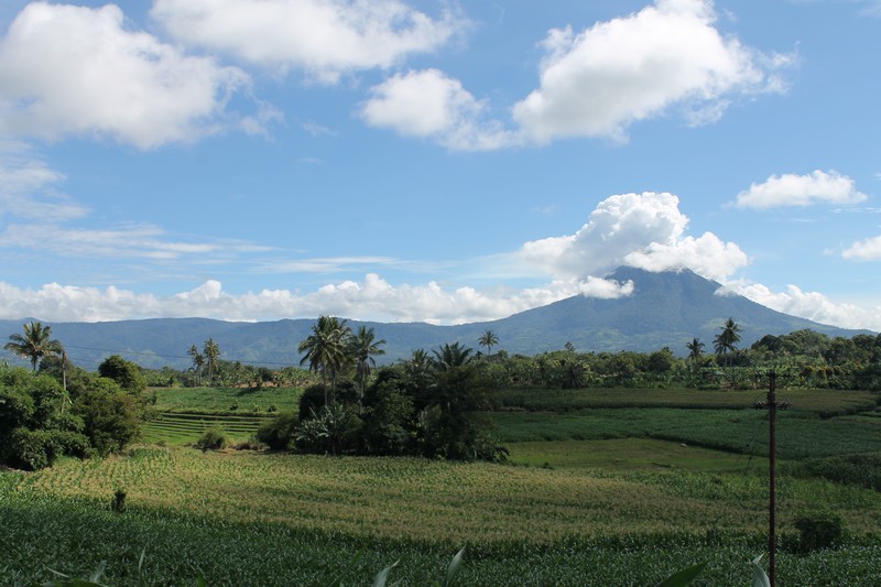 Menikmati Wisata Alam Hijau Di Tengah Kota Kelapa Sawit Pekanbaru Kornelius Ginting