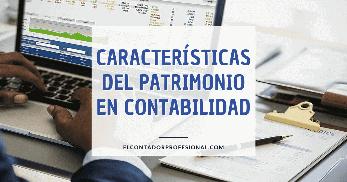 caracteristicas del patrimonio en contabilidad