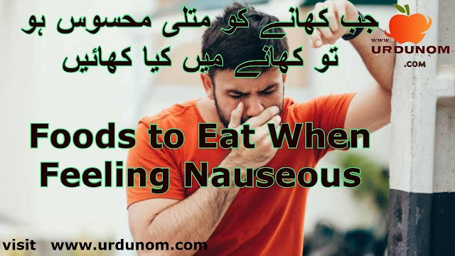 جب کھانے کو متلی محسوس ہو تو کھانے میں کیا کھائیں | Foods to Eat When Feeling Nauseous in urdu