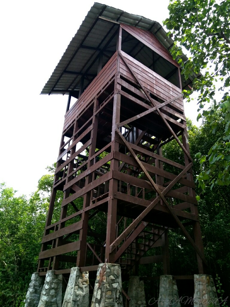 Purple Blossom Latihan Industri di Taman Alam Kuala Selangor (KSNP