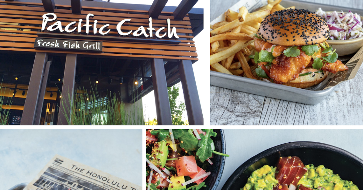 SanDiegoVille: Bay Area's Pacific Catch Westcoast Fish House To Open