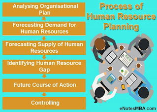 Steps In Process Of Human Resource Planning - E Notes MBA