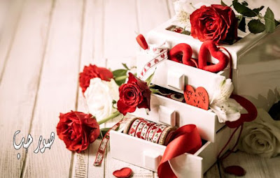 200 صور عيد الحب 2018 اجمل كوليكشن بوستات عيد الحب للاحباب والمخطوبين img 1423527297 132 - 200 صور عيد الحب 2018 اجمل كوليكشن بوستات عيد الحب للاحباب والمخطوبين