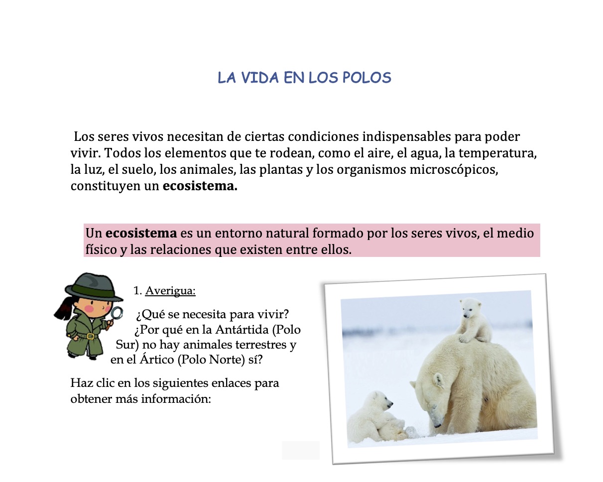 Propuesta de trabajo 11 y 12 de enero Quinto Delibes