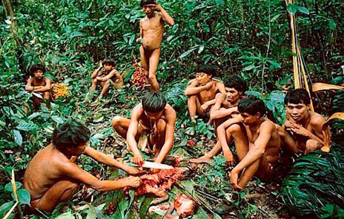 Do You Know What Yanomami Tribe Does To Death Body ?