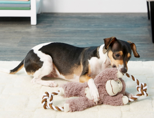 frisco dog toys