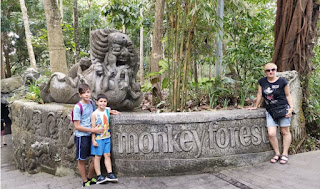Indonesia, Isla de Bali, Ubud, Monkey Forest.