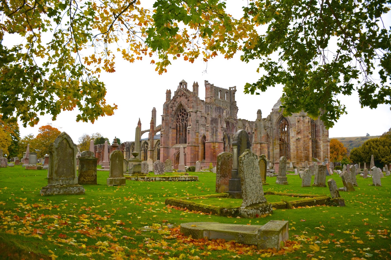 Melrose Abbey with fall colors